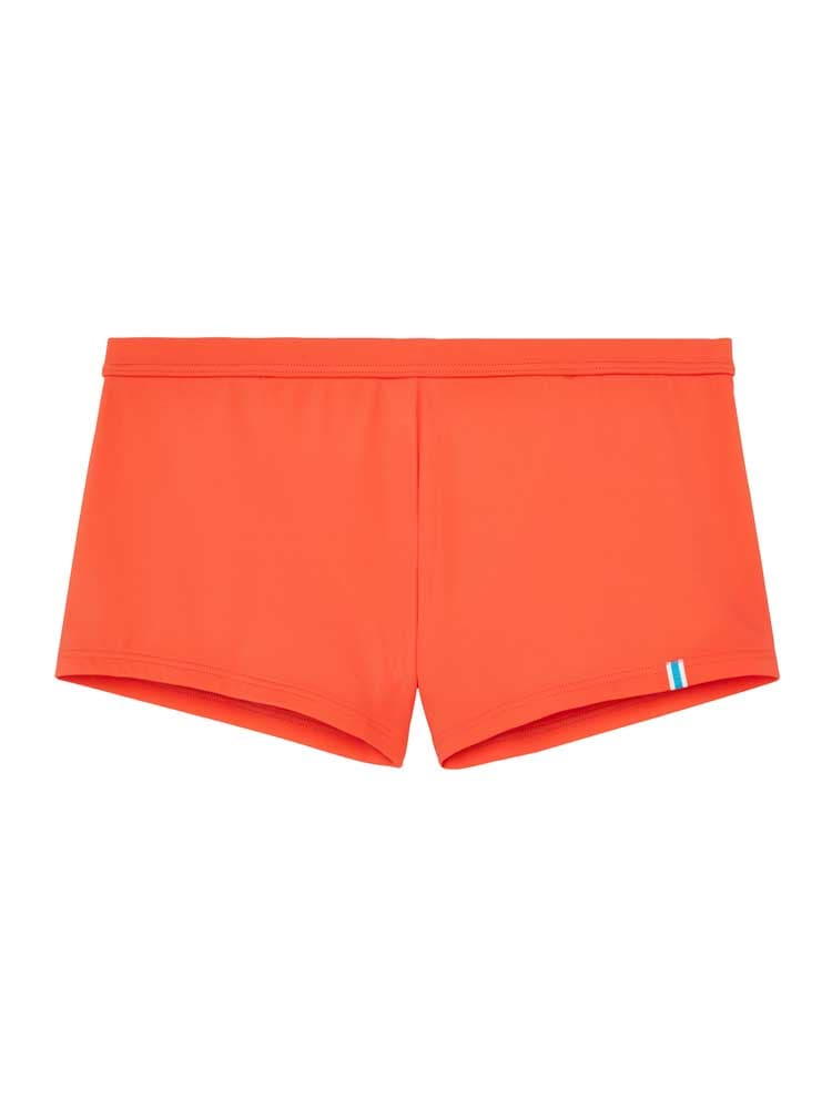 Swim Short - Sealife