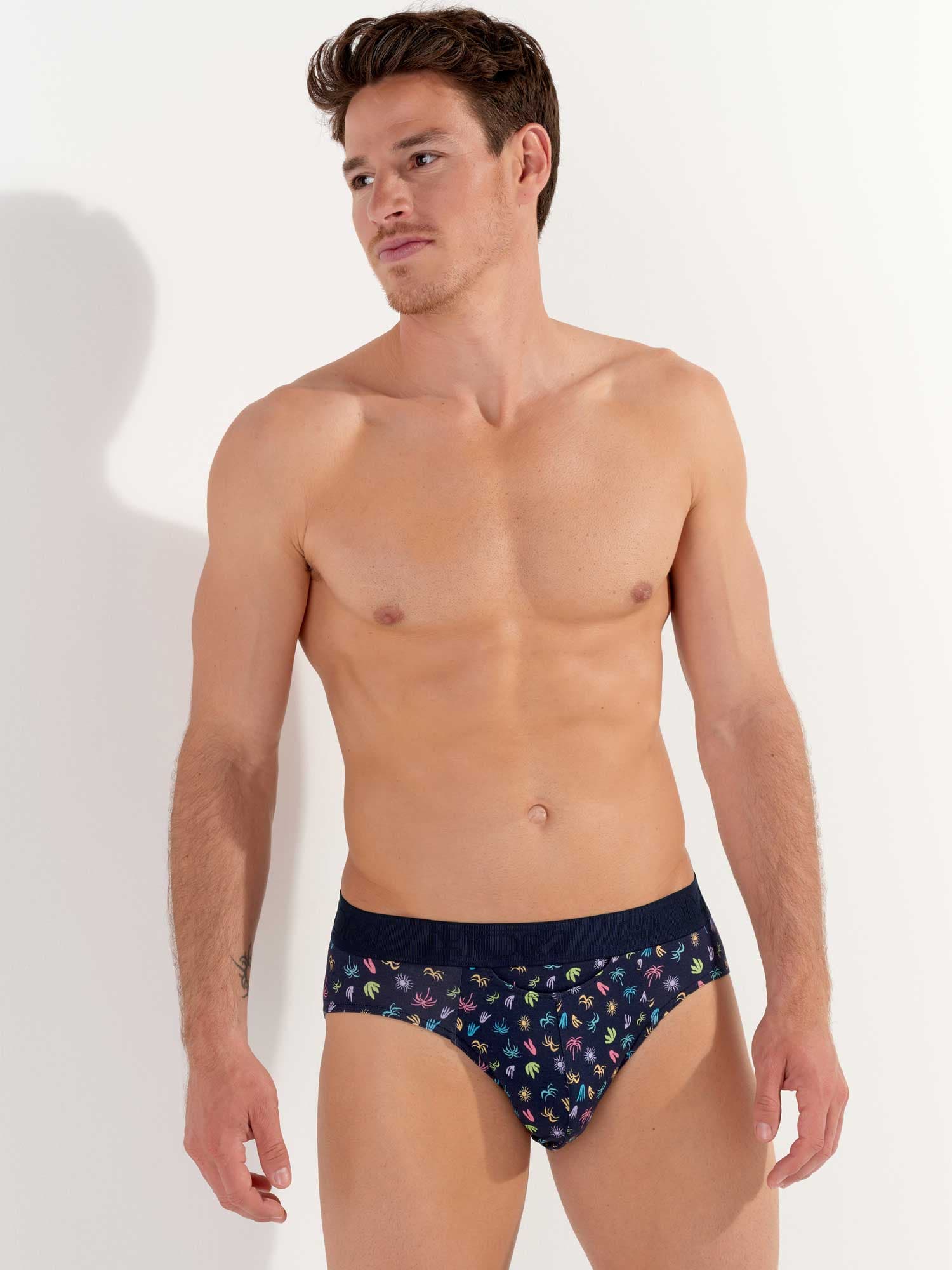 Mini Briefs HO1 - California