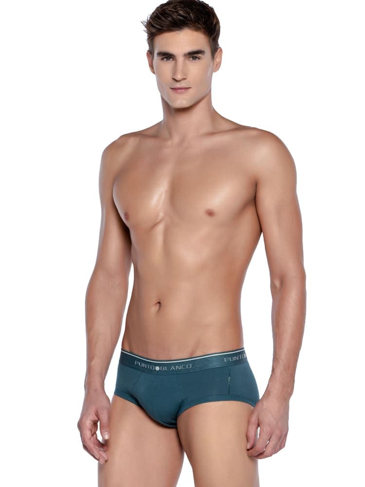 2p Mini Briefs - Fractals