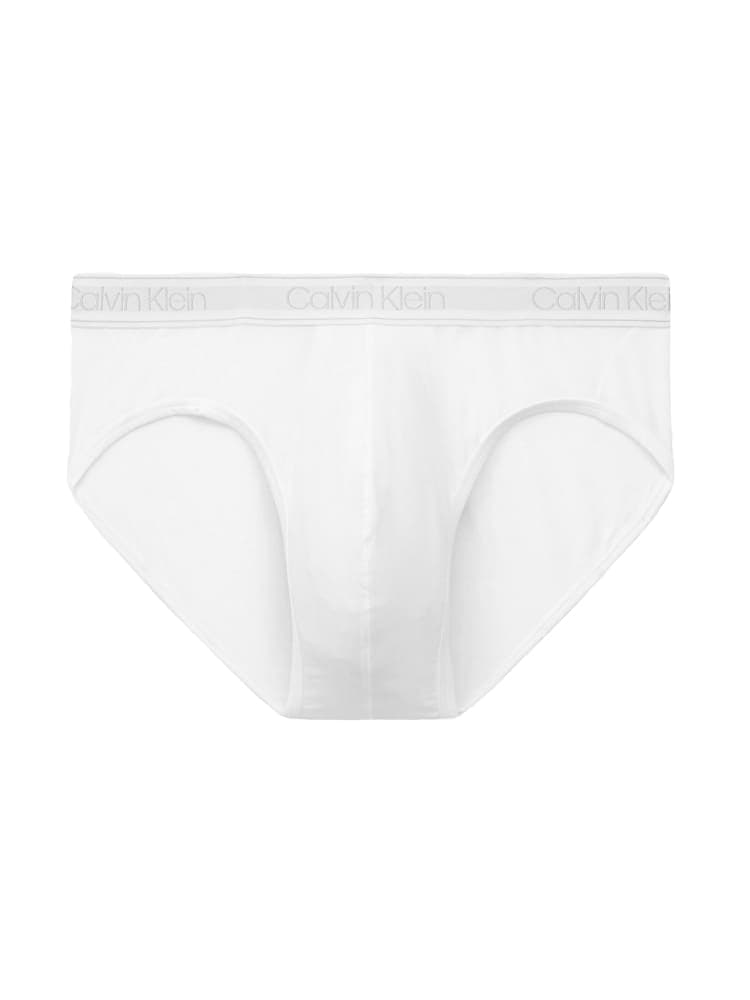 Brief - Essential Calvin